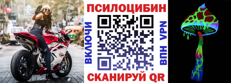 Купить  Тейково  Галлюциногенные грибы Magic Shrooms 