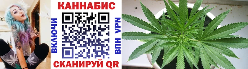 Купить закладки  Тейково  Бошки Шишки SATIVA & INDICA 